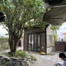 카페 오가닉 이미지