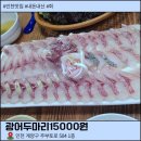 광어한마리 | 인천 계산동 회 맛집 광어두마리15000원 후기