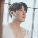 DK 이미지