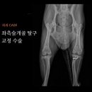 서창사랑동물의료센터 이미지