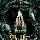 미로모터스