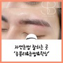 JY브로우 | 자연눈썹 콤보눈썹 후기 리터치 가격 '송뷰티&눈썹&왁싱'
