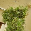 운중1통 경로당 이미지