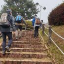 (11/16) 남한산에서 서정의 가을을 보내며. 이미지