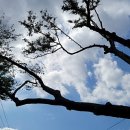 만덕2동주민센터1 이미지