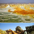 광산주유소 이미지