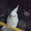 최영민 동물의료센터 이미지