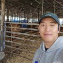 청산한우농장 이미지