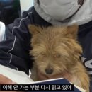분당화방문구