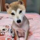 청학로학교길1 이미지