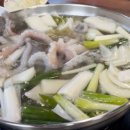 고파도박속낙지 이미지