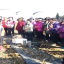 서울을지초등학교 이미지