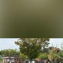 좌학근린공원 이미지