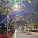 단대공원(광장) 이미지