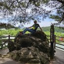 탄금공원 이미지