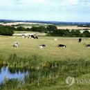 김창선농장 이미지