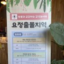 하남 이색데이트 토끼카페 요정출몰지역 내돈내산 솔직후기