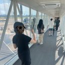 녹두로R | 비 맞다 끝난 제주 여행