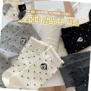 모노퍼피 이미지