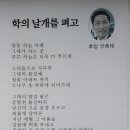 디스코파워장구 이미지