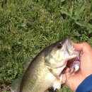 광신대교 이미지