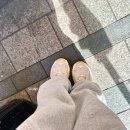 펫 파라다이스 동물병원 | [2026년 도쿄여행 3일차❣] 이마카츠 롯폰기 본점 / 펫파라다이스 / 시부야 로프트 / 츠키시마몬자 오코게