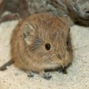 10/29 자투리 가죽으로 키링 만들기 | 2026/01/05