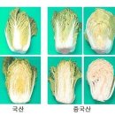 마늘의 효능,김장마늘,마늘수확 이미지