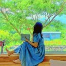 Stay Dole 이미지