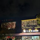 코롱팜 | 중국 선전(심천) 여행 후기 Day 1 深圳旅行