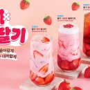 팔공티 이미지