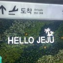 가파 | 가파도 청보리 축제! 배예약 배시간 꿀팁, 올레길 10-1코스 후기 2시간 맛집추천