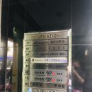 헤이욜로