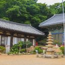 서산 개심사 여행 가이드 – 청벚꽃과 왕벚꽃 명소, 봄향기와 봄내음을 맘껏 즐겨보세요!