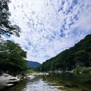 금성민박 이미지