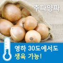 법인초이스팜