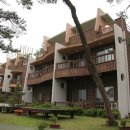 서귀포자연휴양림 이미지