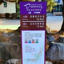 김삿갓면-13 이미지