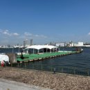 호텔라인 | 오사카 가족여행｜호텔 유니버셜 포트 숙박 후기 &amp; 캡틴라인 페리 타고 가이유칸 수족관 방문기