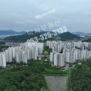 부동산 박사 행정사 사무소 이미지