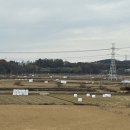 논밭