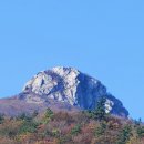 대흥사 이미지