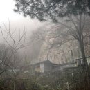 수행정사 이미지