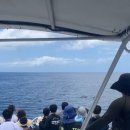 [내돈내산] 괌 GUAM 자유 여행 숙소위치 + 돌고래 투어(돌핀 크루즈) 패키지 예약 꿀팁과 후기 (1)