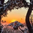 신송약수터 이미지