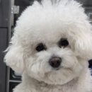 해뜨는 동물병원 이미지