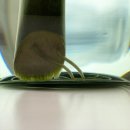 건축사사무소뿌리 이미지