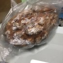 선물같은오늘 용암점 이미지