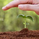 (주)세영건설