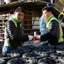 강서구립봉제산노인복지센터 이미지